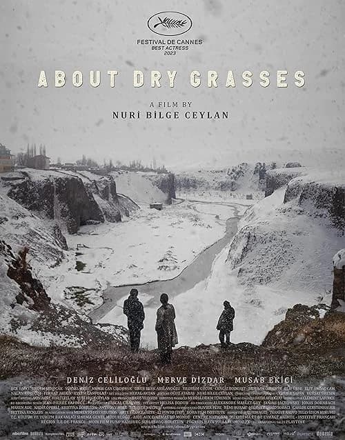 About Dry Grasses